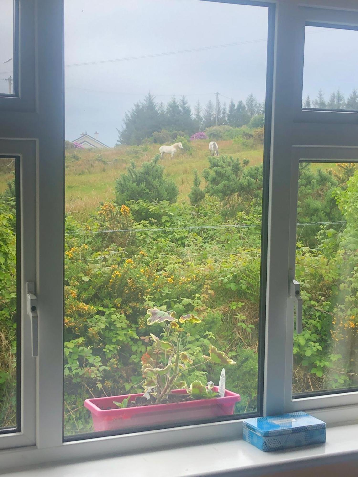 Buttermilk Lodge Guest Accommodation Clifden Bagian luar foto